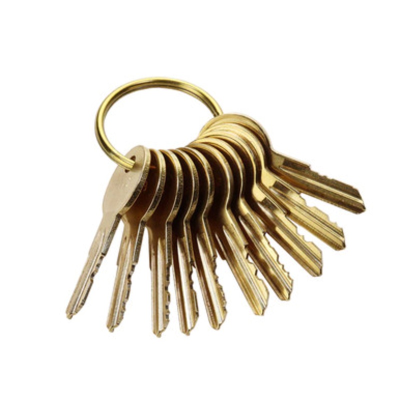 Framon Detex Cover Lock Key Set BDDTXSET
