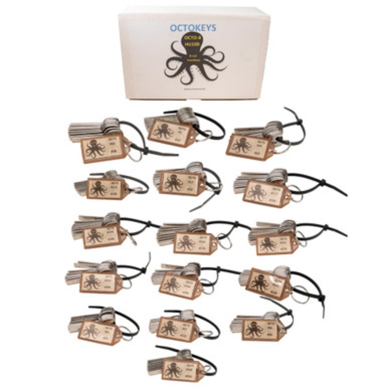 OCTOKEYS – GM 8 Cut Laser Keys For Doors / Ignitions – Try-out Set of 128 Keys
